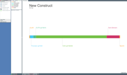 Gene built with BIOFAB parts in Gene Designer, Diagram view.